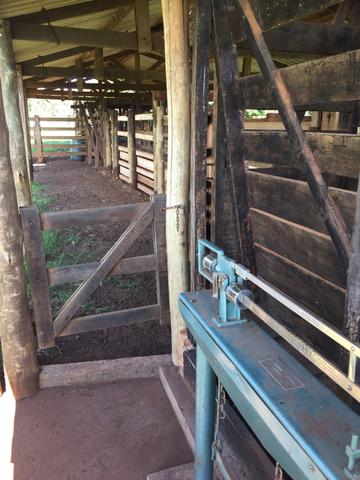 Fazenda em Frutal Minas Gerais Triângulo Mineiro - Foto 10