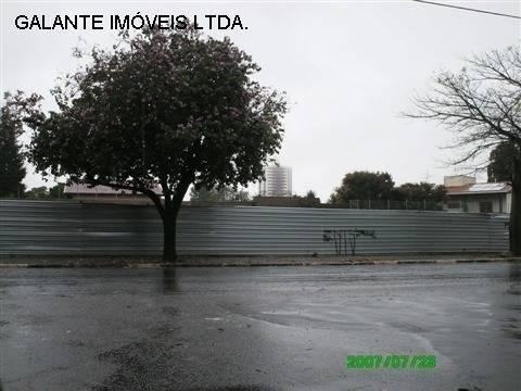 Terreno para alugar em Jardim das paineiras, Campinas cod:TE049861