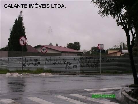 Terreno para alugar em Jardim das paineiras, Campinas cod:TE049861 - Foto 2