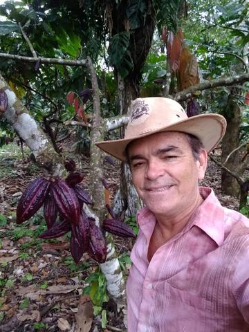 Fazenda de Cacau