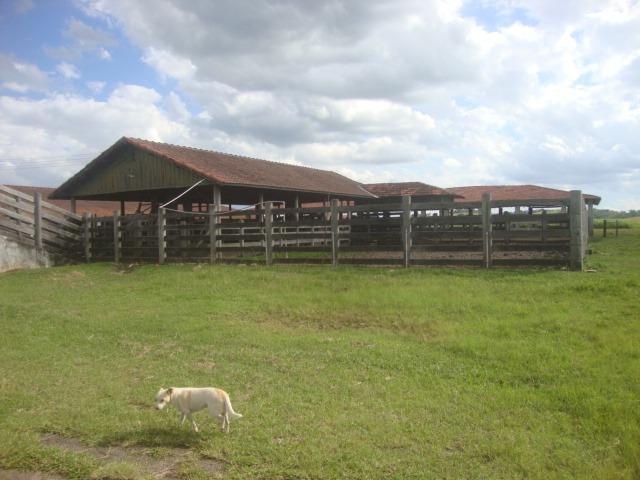 Fazenda 170 Alqueires, Região de Tatuí-Sp - Foto 4