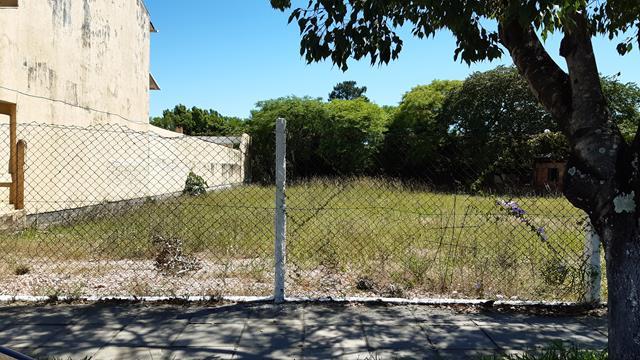 Terreno para alugar em , cod:I-023745 - Foto 7