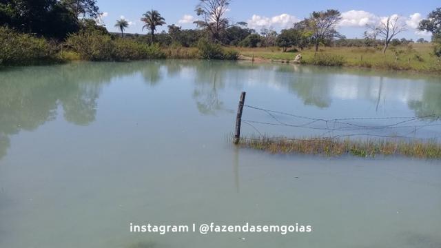 Fazenda para venda em Formosa-GO - Foto 6