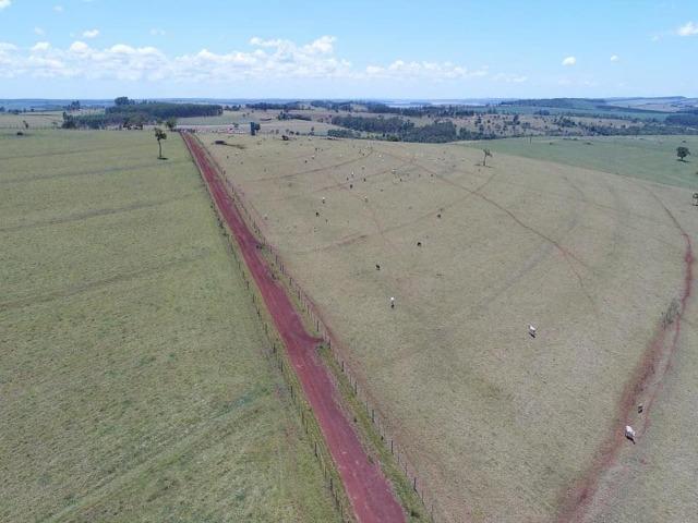 Avaré-Sp, Fazenda 170 Alqueires - Foto 3
