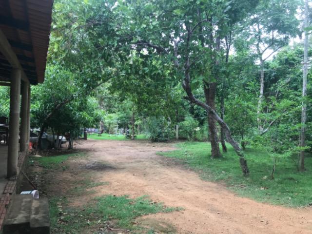 Alugo Chácara em Taquaruçu, Palmas - Tocantins - Foto 17