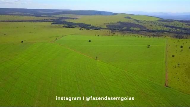 Fazenda para venda em Formosa-GO - Foto 9