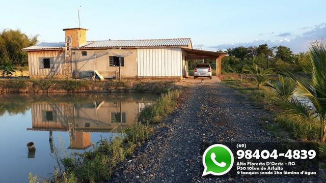 Chácara com 9 Represas no Asfalto em Alta Floresta - Foto 3