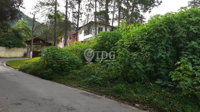 Terreno à venda em Granja guarani, Teresópolis cod:TE00013 - Foto 2