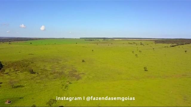 Fazenda para venda em Formosa-GO - Foto 15