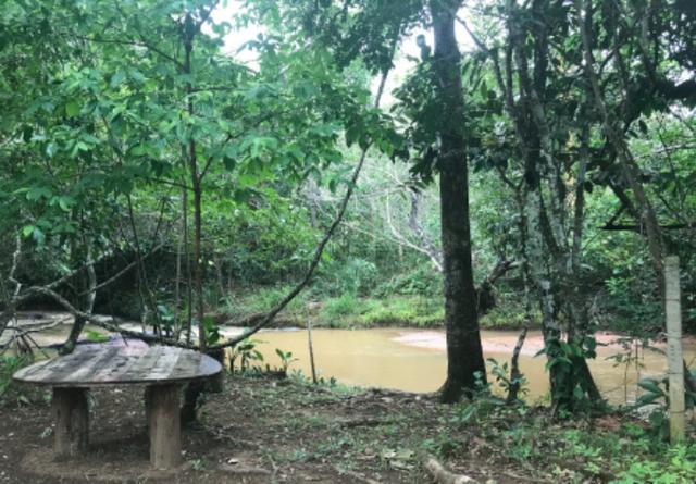 Alugo Chácara em Taquaruçu, Palmas - Tocantins - Foto 10