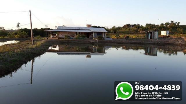 Chácara com 9 Represas no Asfalto em Alta Floresta - Foto 6
