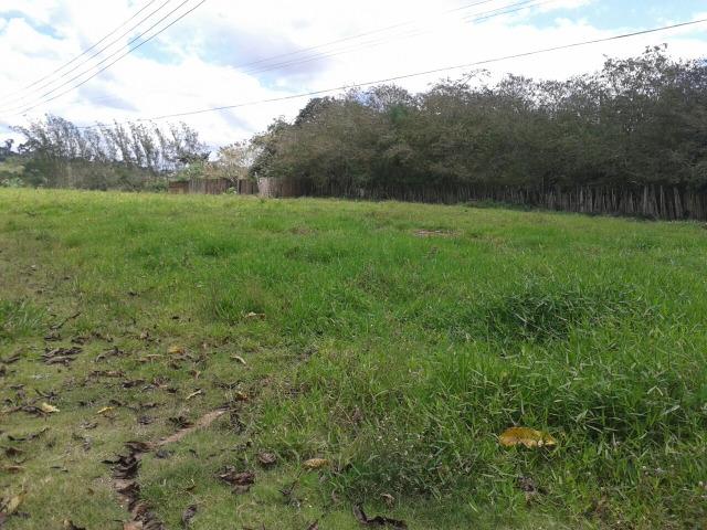 Sitio - Foto 7