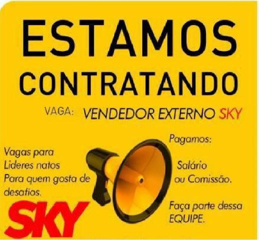 Vendedor Externo
