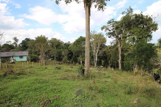Chácara na Papanduvinha em SJP - Foto 6