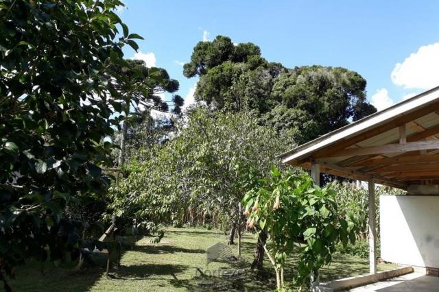 Chácara com 42.350,00m² em Agudos do Sul - Foto 3