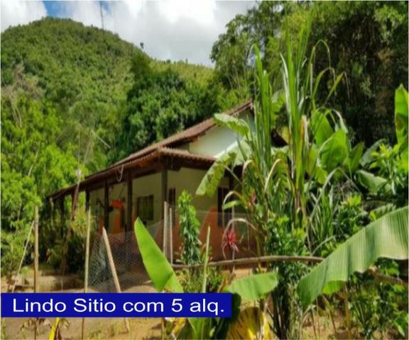 Adquira Já Seu Imovel Rural - Foto 13