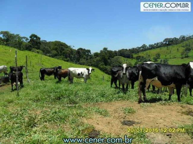 1620/Extraordinária fazenda de 220 ha com 2.000 l/leite dia de porteira fechada - oport - Foto 13