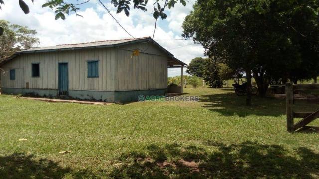 Fazenda a 4 km do frigorífico em nova marilândia - 7 km da cidade - Foto 12