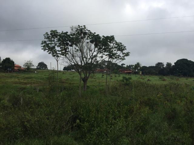 25 Alqueires-Avelinópolis Goiás-Próx. Goiânia-Excelente Preço R$ 150.000,00 o Alqueire - Foto 9