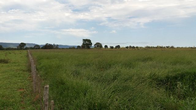 (Fazenda com 297ha em Mato Grosso) no município de Alto Paraguai(MT-409 KM35) - Foto 6