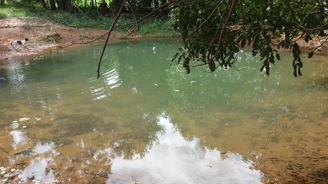 (Fazenda com 297ha em Mato Grosso) no município de Alto Paraguai(MT-409 KM35) - Foto 9
