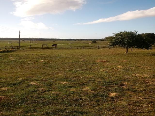Bela Fazenda - Foto 15