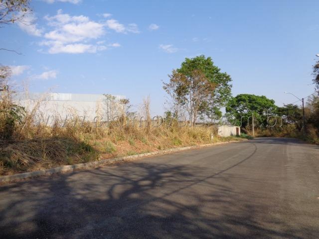 Lote Recanto dos Buritis - Foto 4