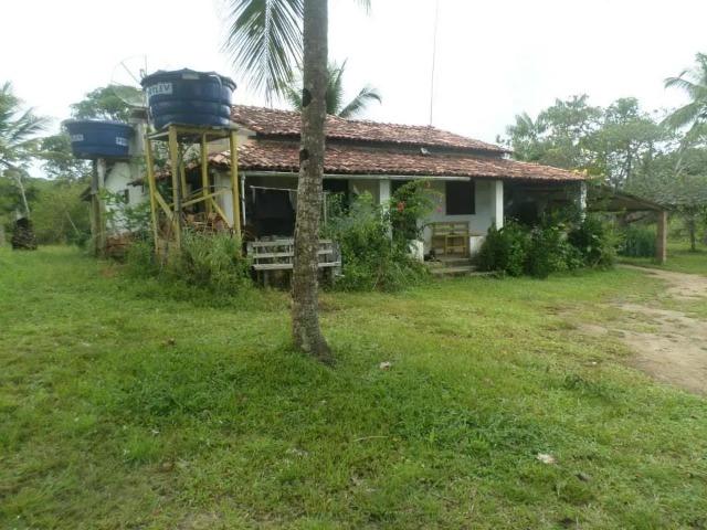 Fazenda no Litoral SUL da Bahia - Foto 2