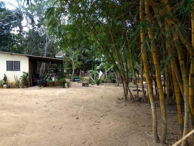 Vende-se bela chácara nos americanos em Luziânia - Foto 4