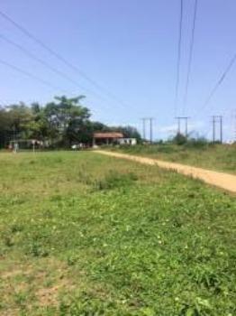 Granja-Chácara-Sítio 1,6 Hectares em Olinda, Aceito Automóvel ou imóvel - Foto 3