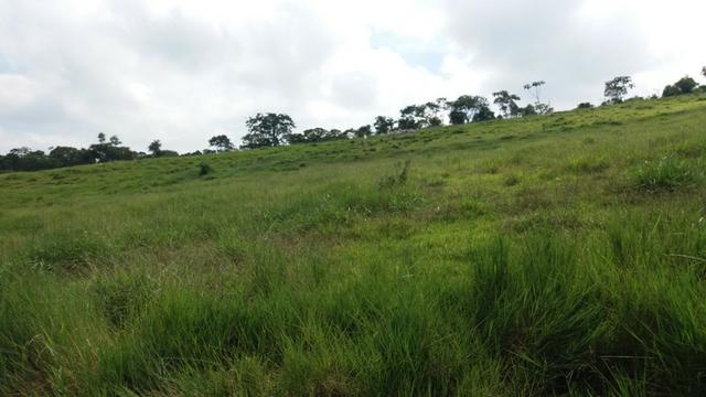 Sítio otima topografia com 10 A|lqueires - Bairro Pouso Alegre - Foto 7