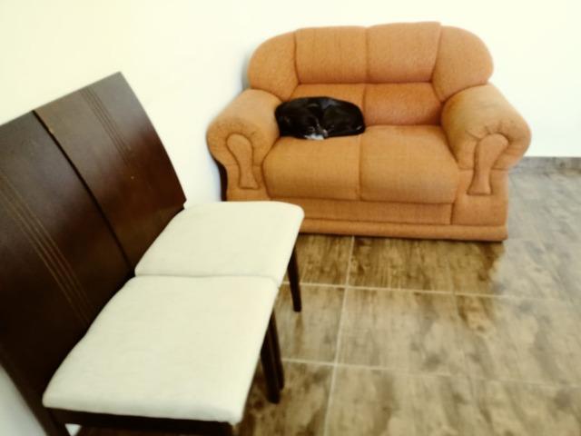 Apartamento 2 Dormitórios Taquaral/Dalben Aceita Financiamento Urgente - Foto 6