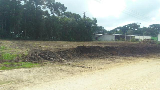 Alugo terreno - Foto 3