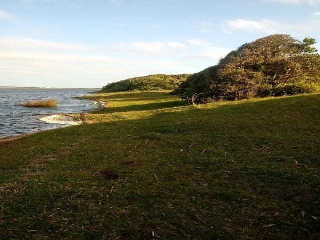 Bela Fazenda - Foto 10