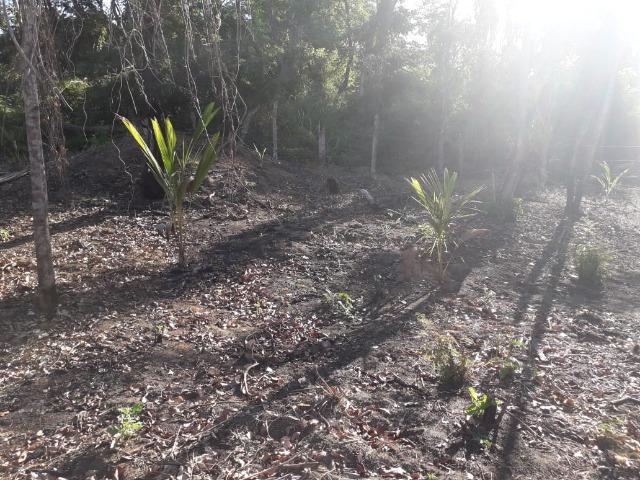 Terreno em Pindobal - Bambuí - Maricá - Foto 9