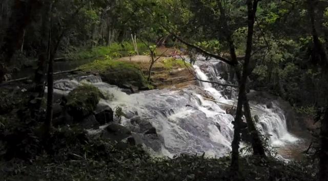 Fazenda de Cacau, Látex e Mogno no Brasil - Cidade Ituberá-BA - Foto 11