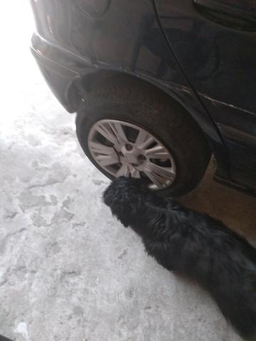 Vende se um Palio - Foto 6