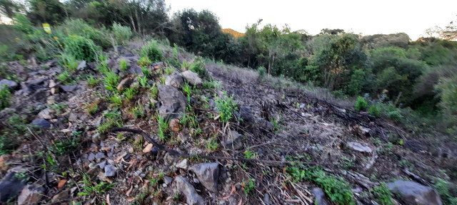 Vende-se terreno - Foto 3