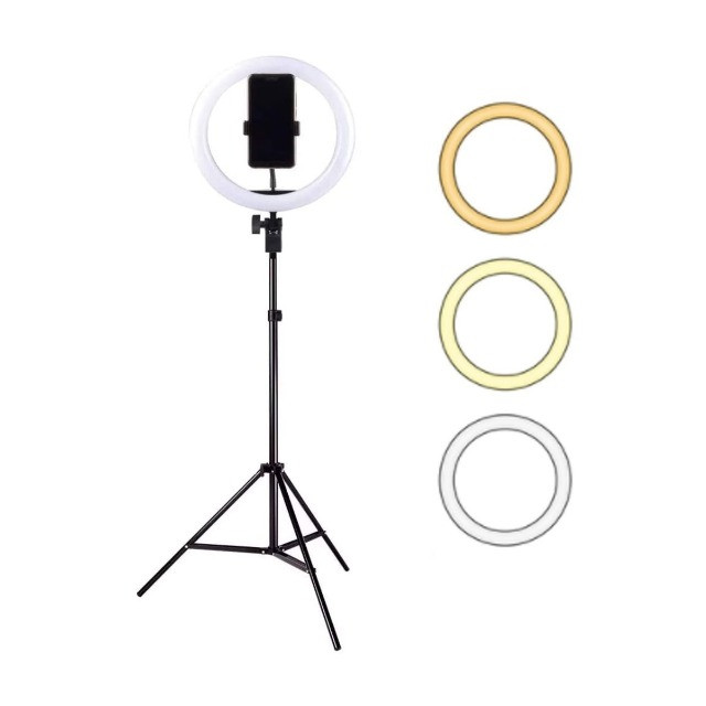 Ring Light Iluminador 26cm 10 Polegadas + Tripé 1.80m - Foto 2