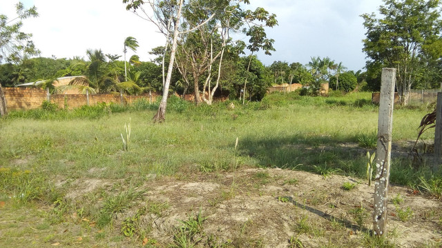 Vendo terreno em mosqueiro( parcelas de 500 até 20vezes) - Foto 3