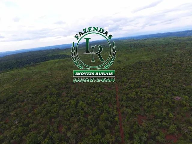 Fazenda 216  Alqueires Bruta Luzimangues  - Foto 5