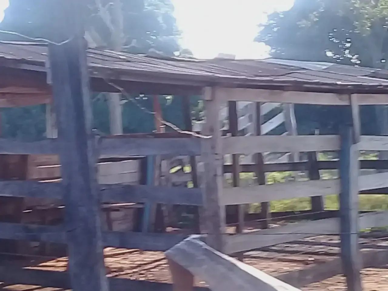 Chacara emJardim 10 ha - Campo Grande - MS - Foto 7