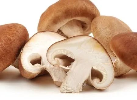 Cogumelos Shiitake frescos