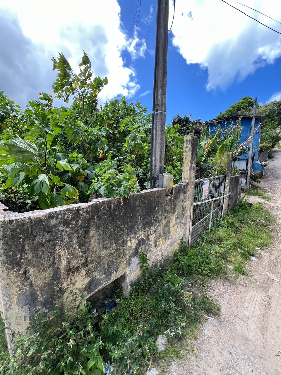 Terreno no Rio Tavares, IPTU individual, água e luz ligada. - Foto 2