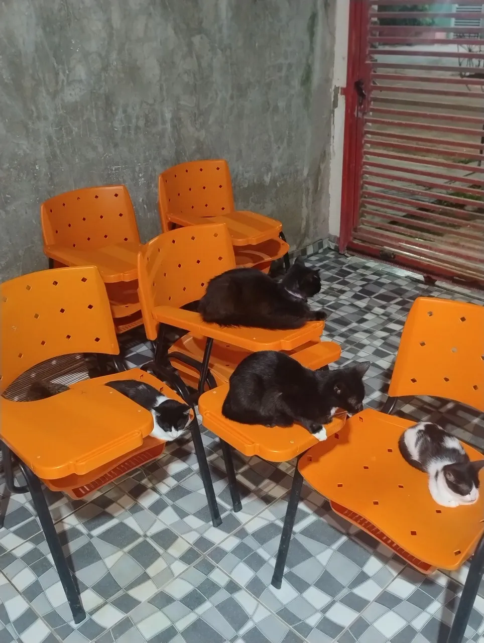 Cadeiras escolares com prancheta e apoio para livros.