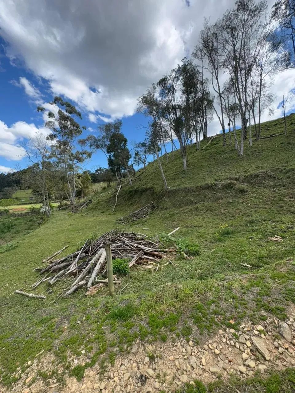 Sítio à Venda em Rancho Queimado  SC  Com riacho dentro da propriedade! - Foto 9