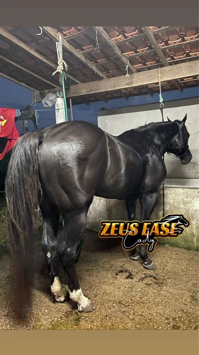 COBERTURA DISPONÍVEL 