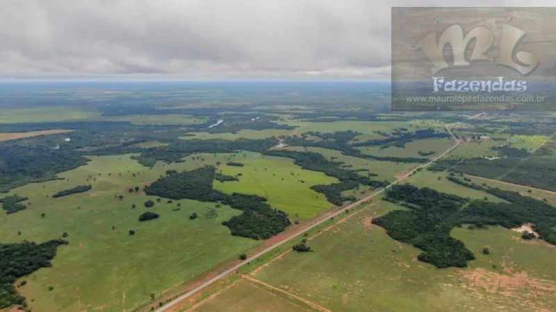 FAZ 374 - Fazenda na Região de Gurupi  Sul do Tocantins  4.791 hect - Foto 5