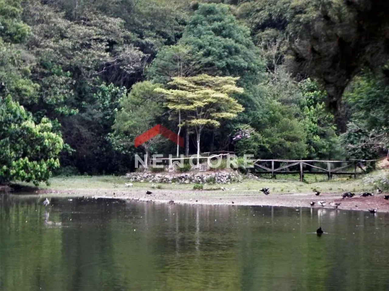 Lote em condomínio em Avenida Cote D'Azur - Granja Viana - Cotia/SP - Foto 13