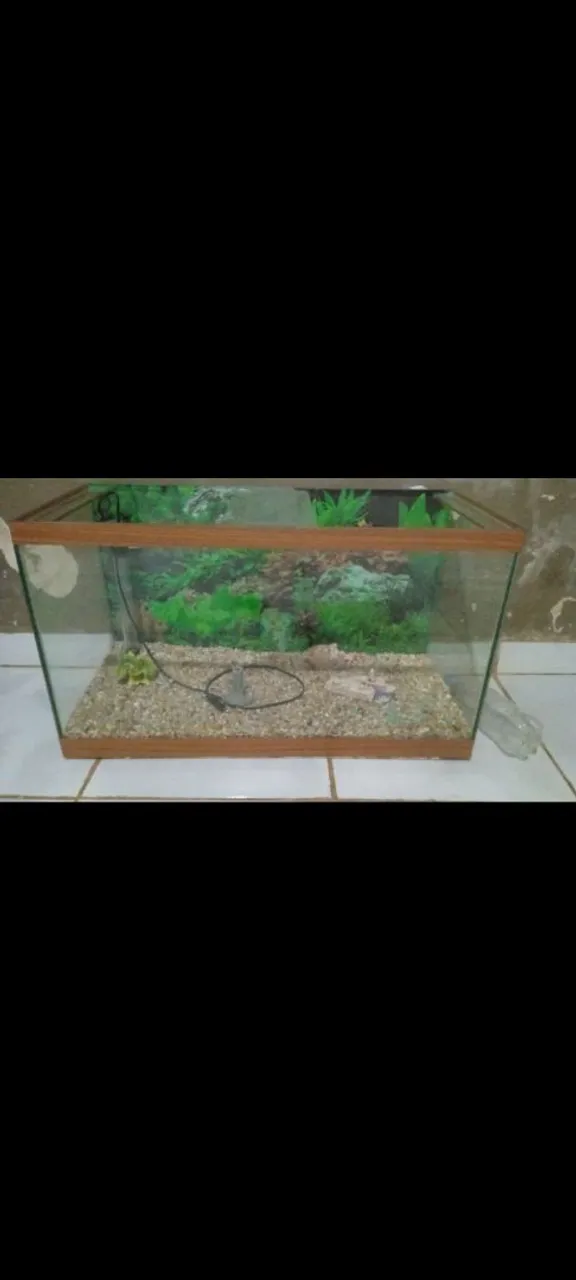 Aquário completo só colocar os peixes, não sei a medida correta mais vai 100 litros d agua